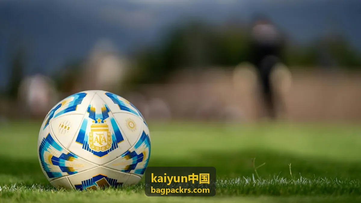 kaiyun中国 出行收纳清单缩略图