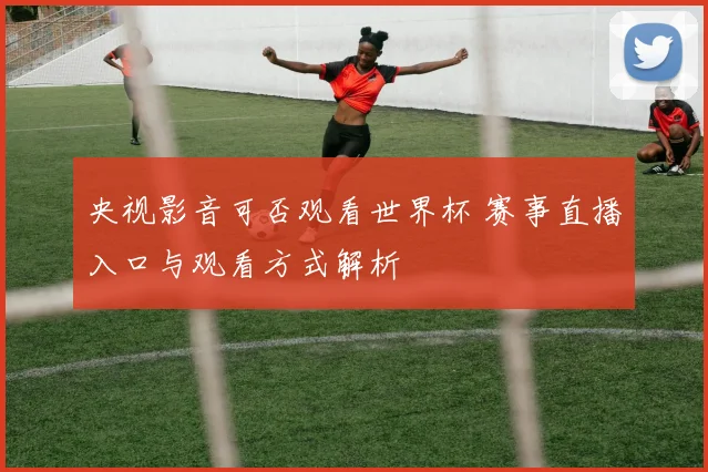 央视影音可否观看世界杯 赛事直播入口与观看方式解析